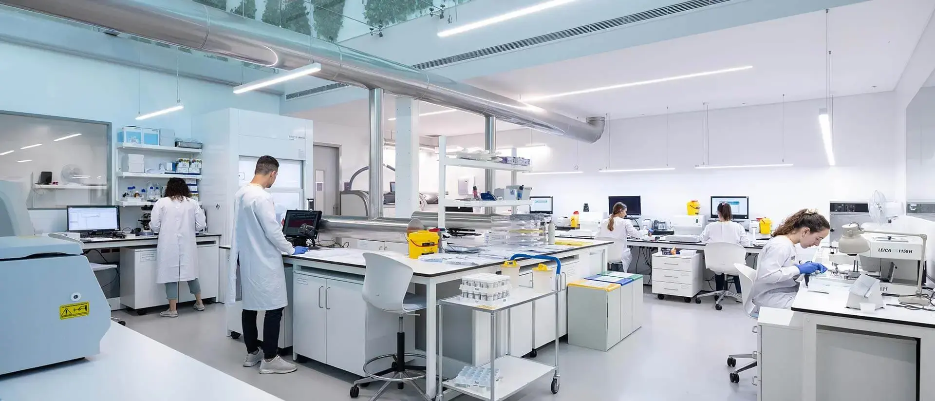 Anatomical Pathology