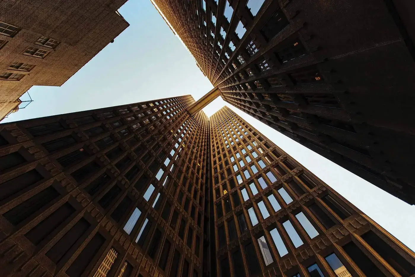 Empowering Growth Through Expertise And Vision